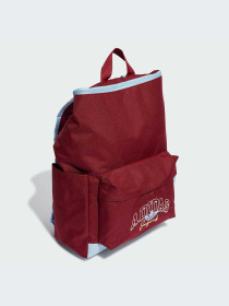 Рюкзак Adidas модель II3367 Фото