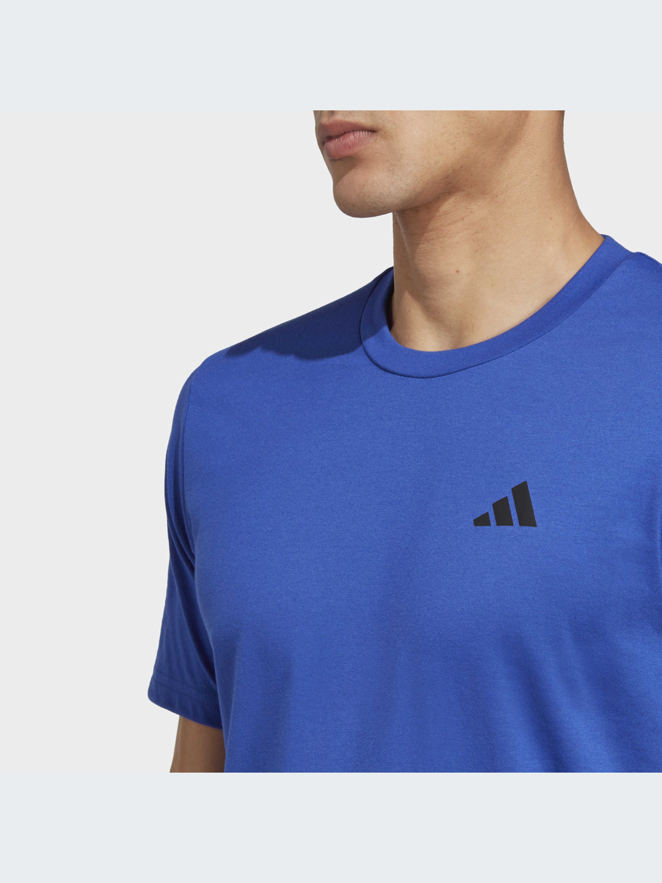 Спортивная футболка Adidas модель IC7449 Фото