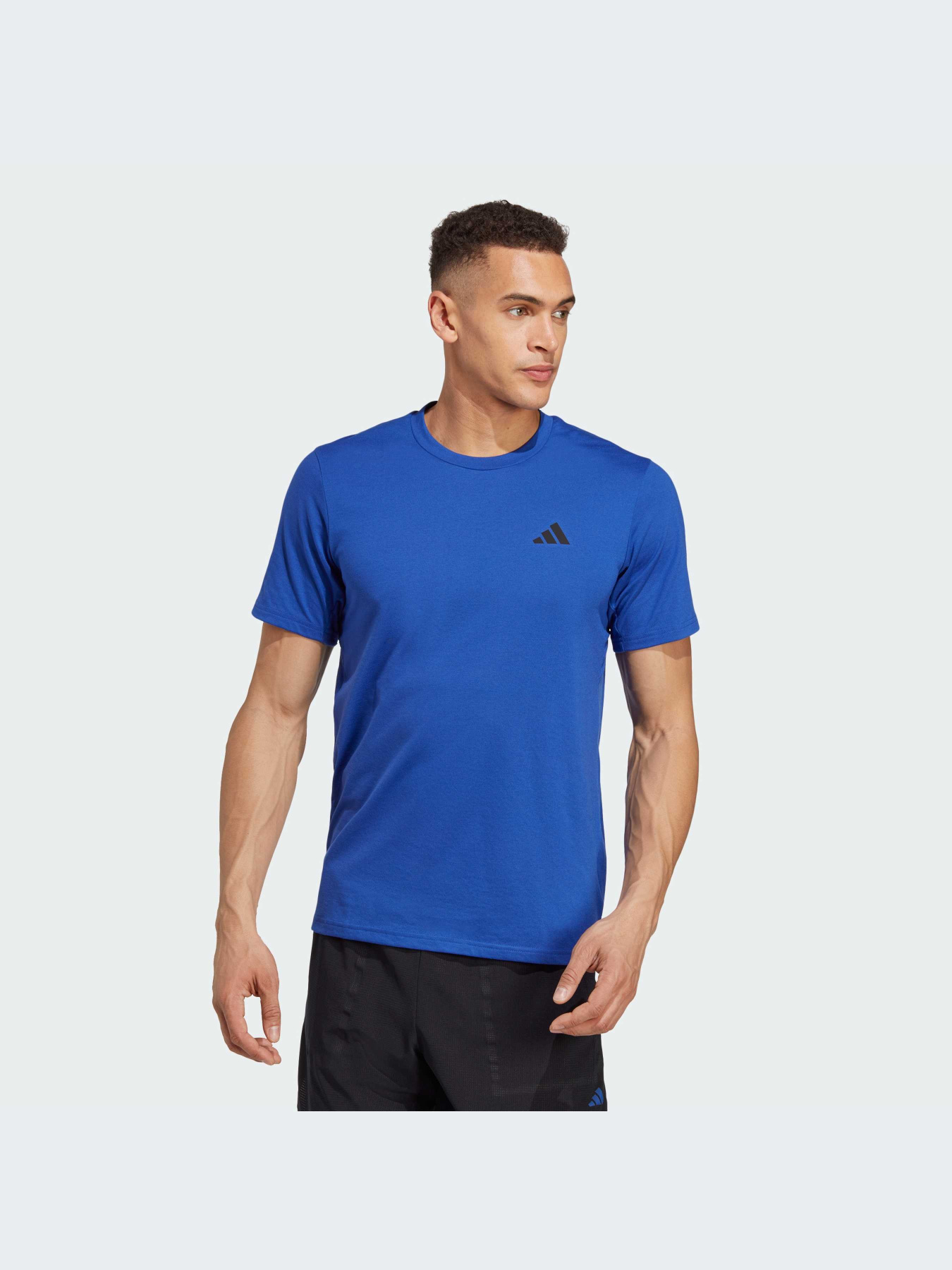 Спортивная футболка Adidas модель IC7449 Фото