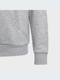 Худи Adidas модель IC6835 Фото