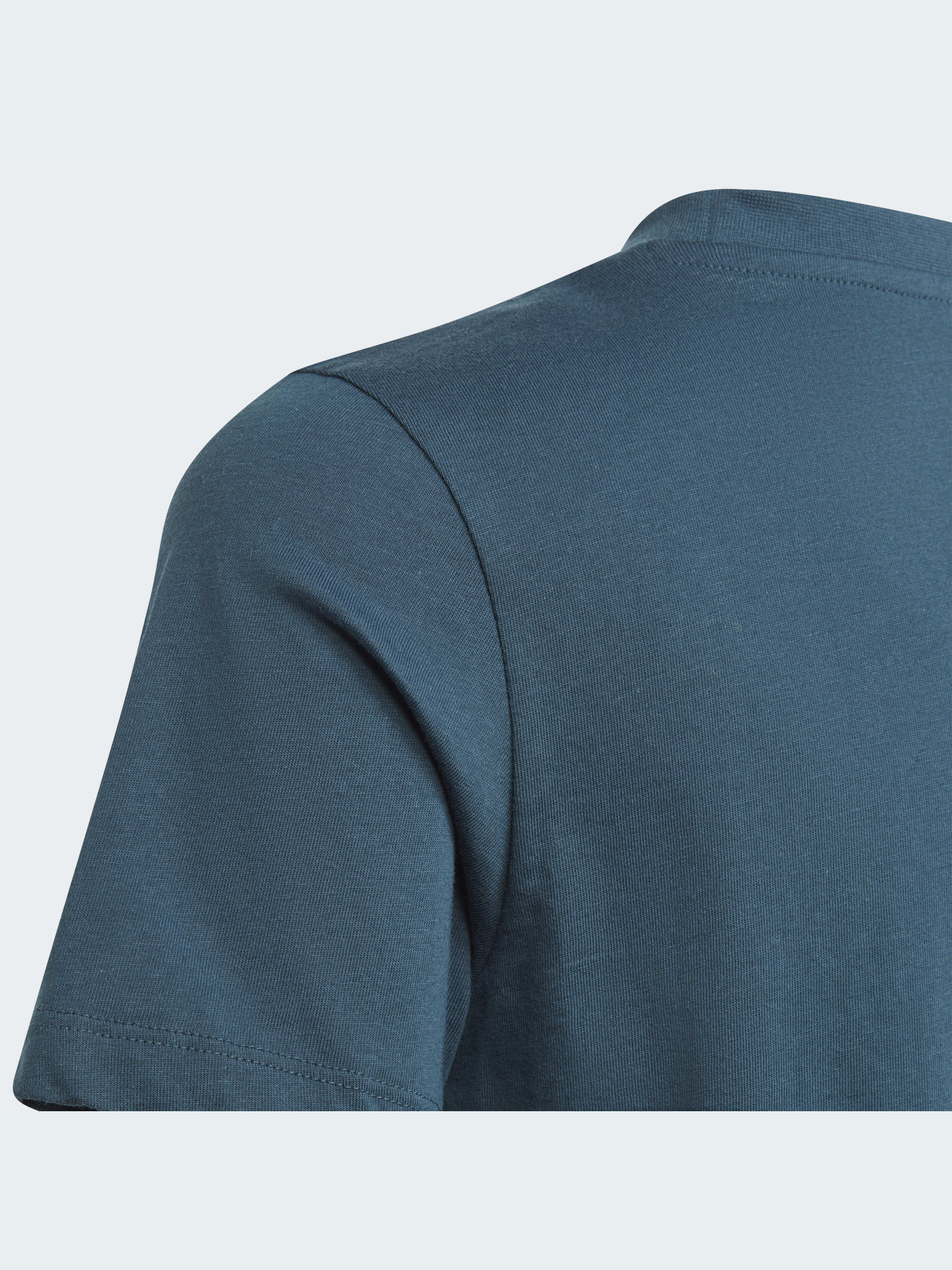 Футболка Adidas Adicolor модель IJ9702 Фото