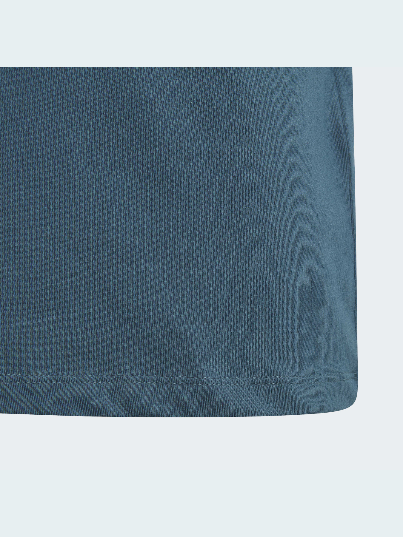 Футболка Adidas Adicolor модель IJ9702 Фото