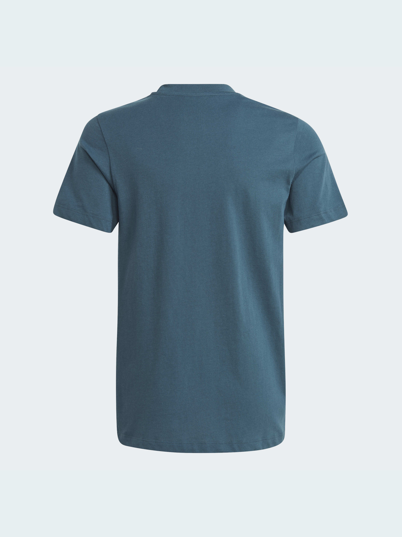 Футболка Adidas Adicolor модель IJ9702 Футболка Adidas Adicolor модель IJ9702 Фото