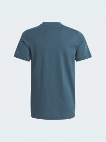 Футболка Adidas Adicolor модель IJ9702 Футболка Adidas Adicolor модель IJ9702 Фото