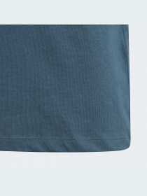 Футболка Adidas Adicolor модель IJ9702 Футболка Adidas Adicolor модель IJ9702 Фото