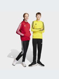 Штаны спортивные Adidas Tiro модель HS3543 Фото
