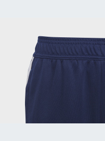 Штани спортивні Adidas Tiro модель HS3544 Фото