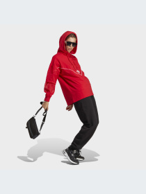 Джогери Adidas модель IA6437 Фото