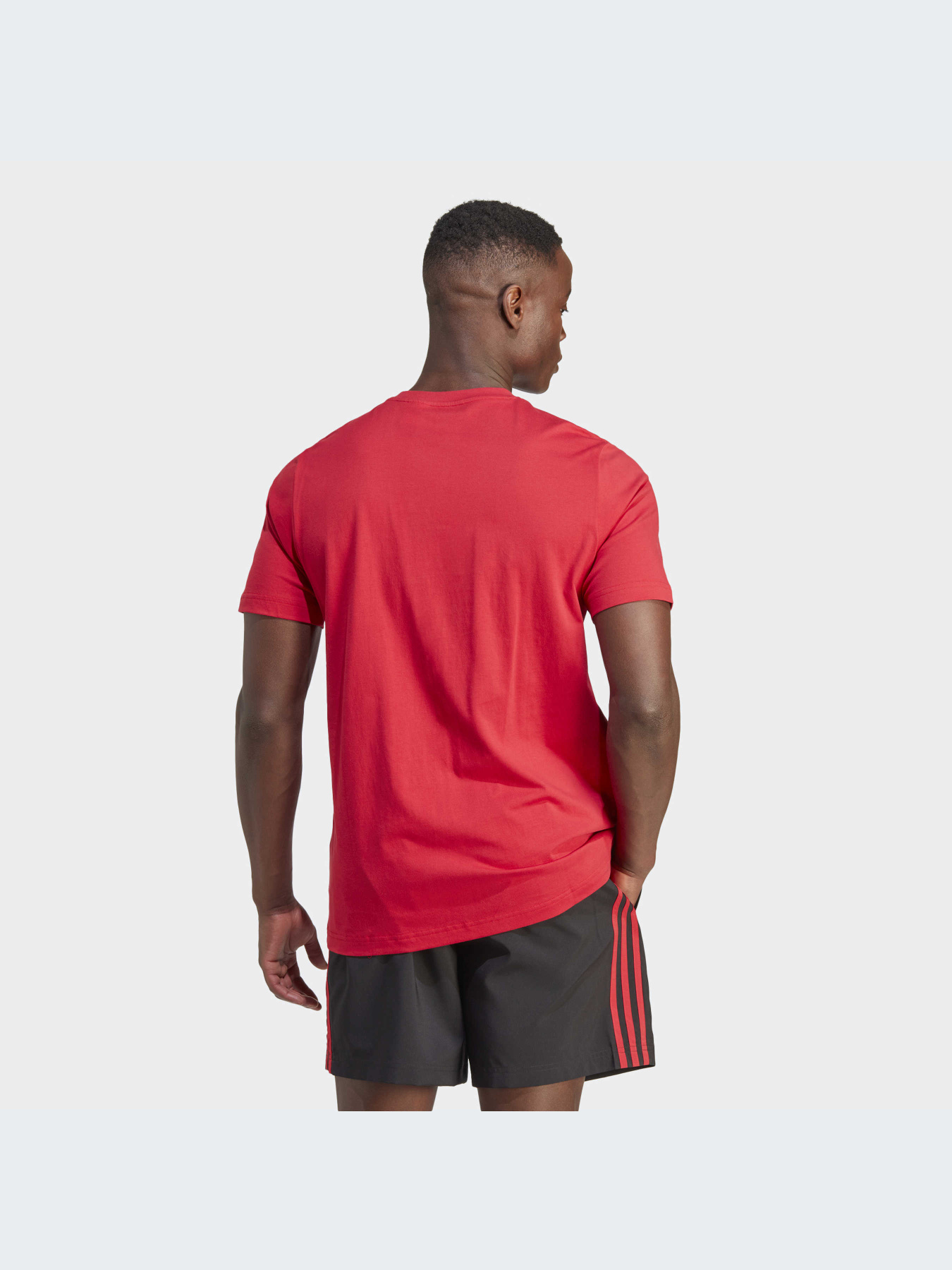 Спортивна футболка Adidas модель IA8520 Фото