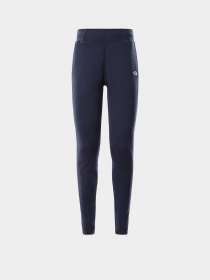 Брюки The North Face модель NF0A55GSH2G1 Фото