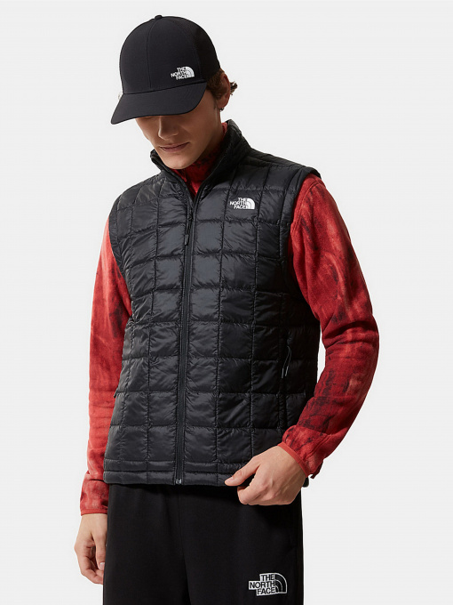 Куртки и дубленки The North Face модель NF0A5GLOJK31 Фото
