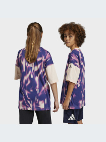 Футболка Adidas модель IC8674 Фото