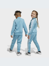 Спортивный костюм Adidas Adicolor модель IC9186 Фото