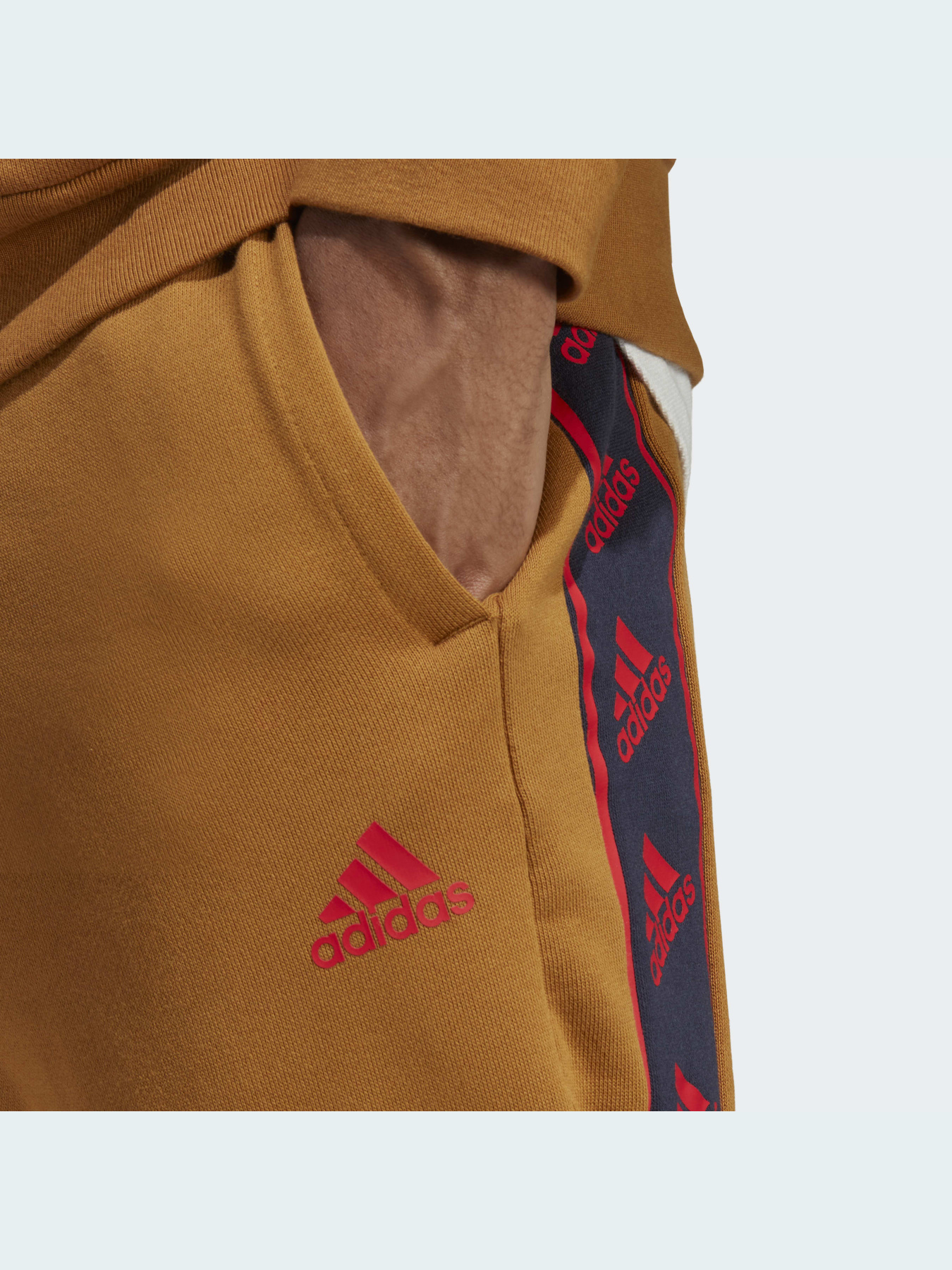 Штани Adidas модель IC6796 Фото