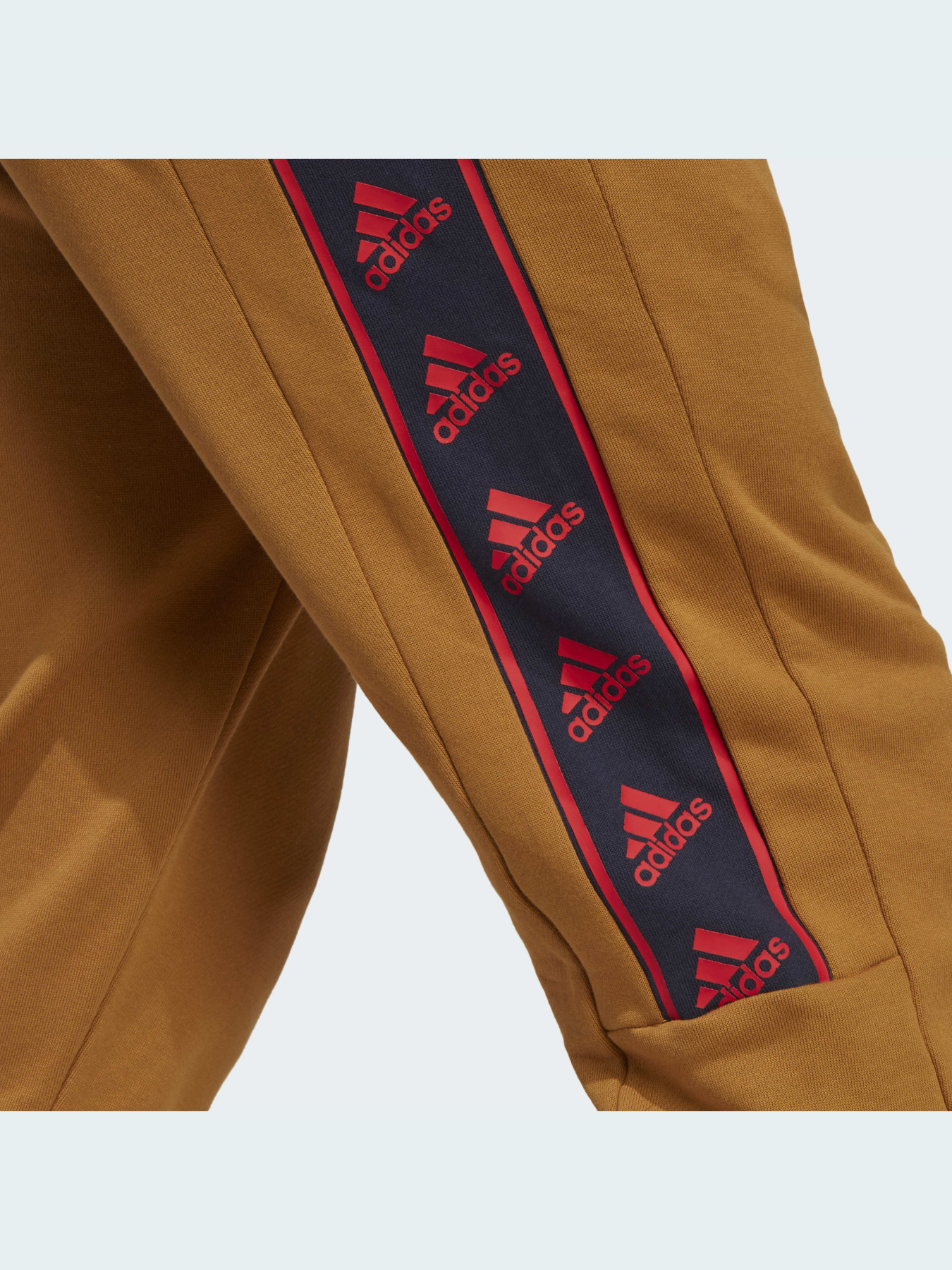 Штани Adidas модель IC6796 Фото