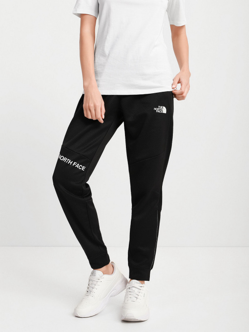 Брюки The North Face модель NF0A55HFJK31 Фото