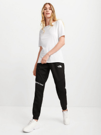 Брюки The North Face модель NF0A55HFJK31 Фото