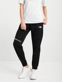 Брюки The North Face модель NF0A55HFJK31 Фото