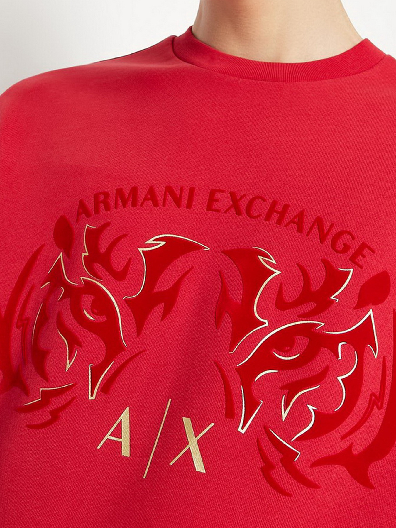Худи и свитшоты Armani Exchange модель 3LZMGG-ZJ1ZZ-1435 Фото