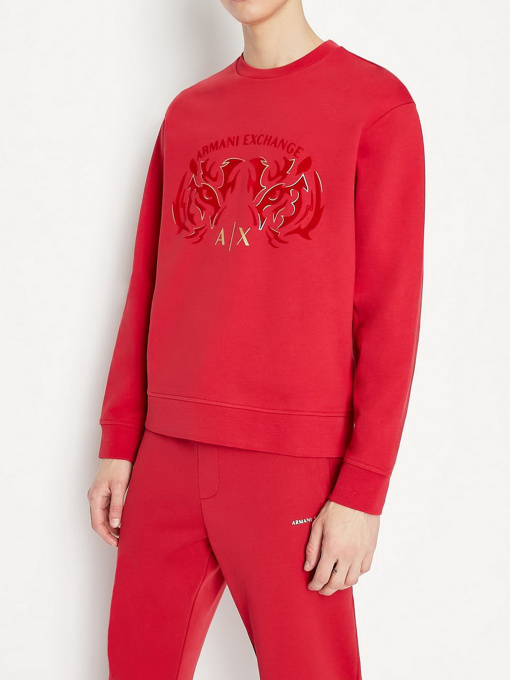 Худи и свитшоты Armani Exchange модель 3LZMGG-ZJ1ZZ-1435 Фото