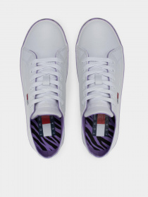 Кеды Tommy Hilfiger модель EN0EN01626-YBR Фото