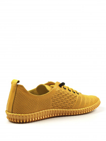 Кеды низкие It-girl модель 166-125-52 Фото