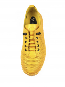 Кеды низкие It-girl модель 166-125-52 Фото