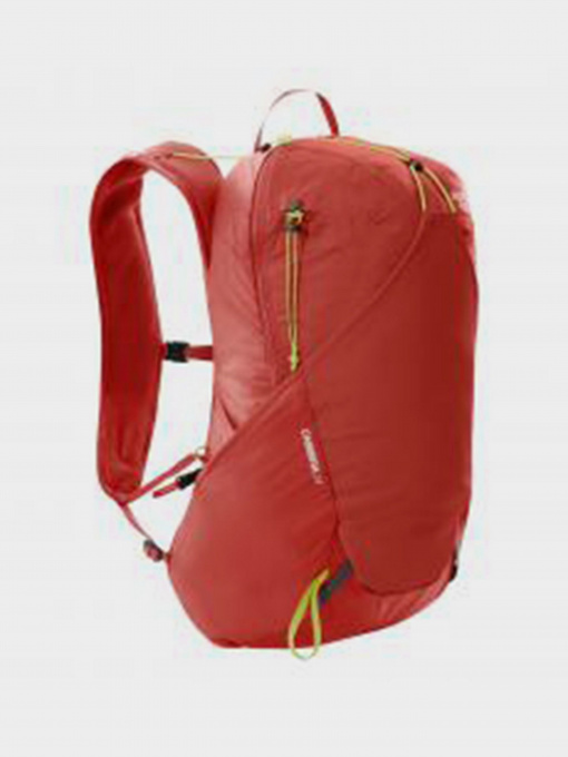 Рюкзаки The North Face модель NF0A3GA34J61 Фото