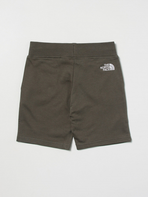 Шорты The North Face модель NF0A7R1I0C51 Фото