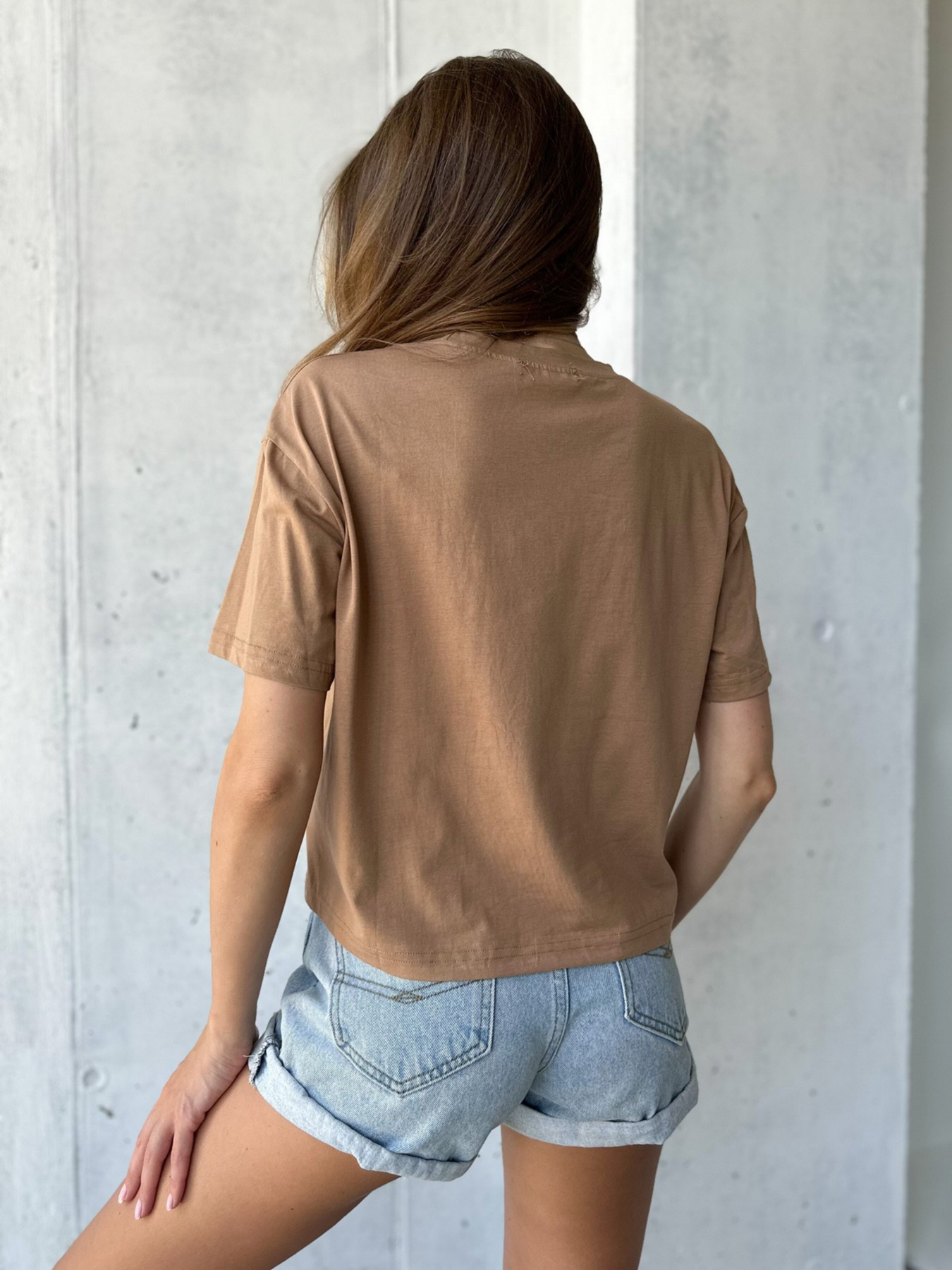 Футболка ISSA Plus модель WN20-505_brown Фото