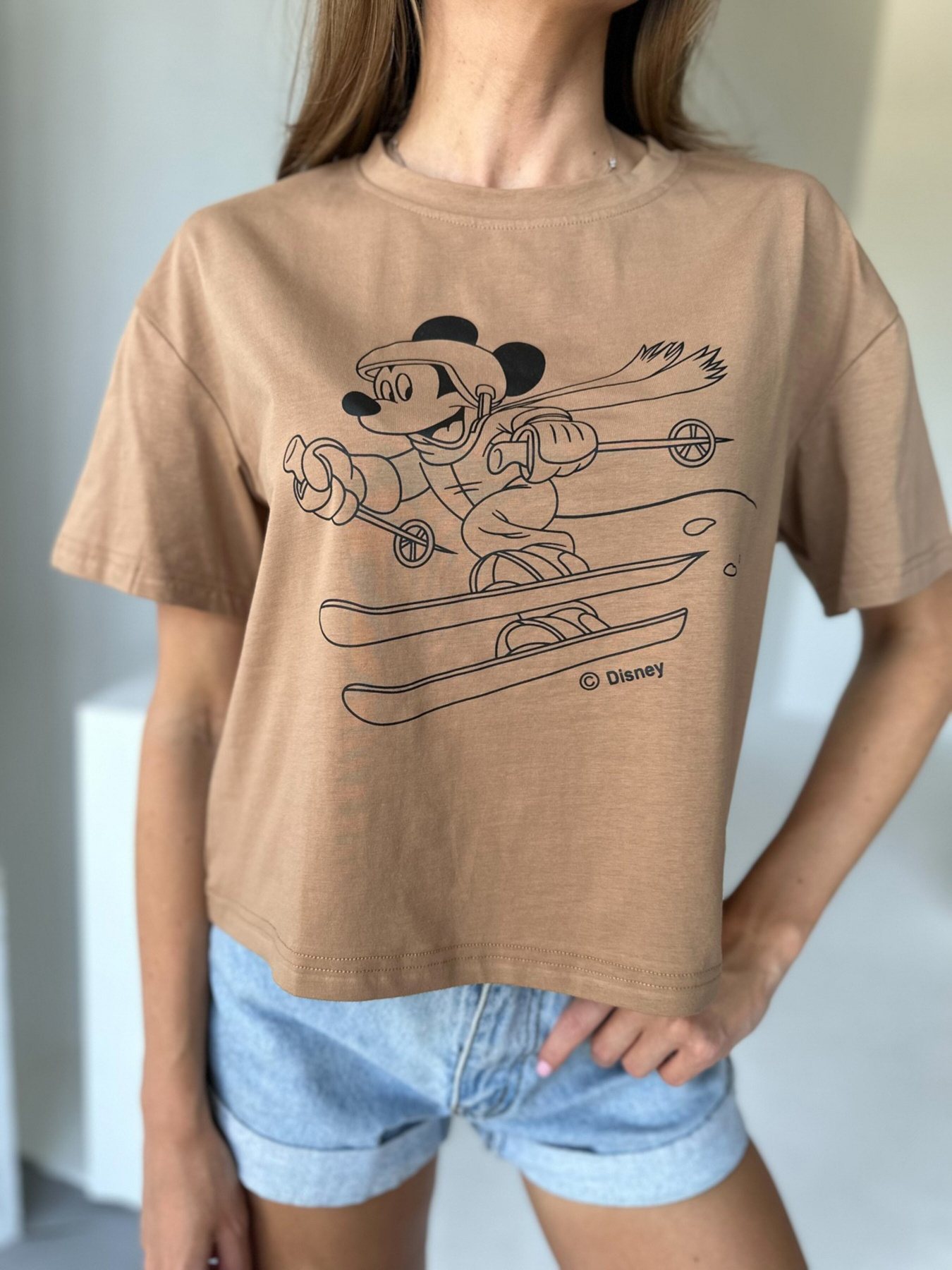 Футболка ISSA Plus модель WN20-506_brown Фото