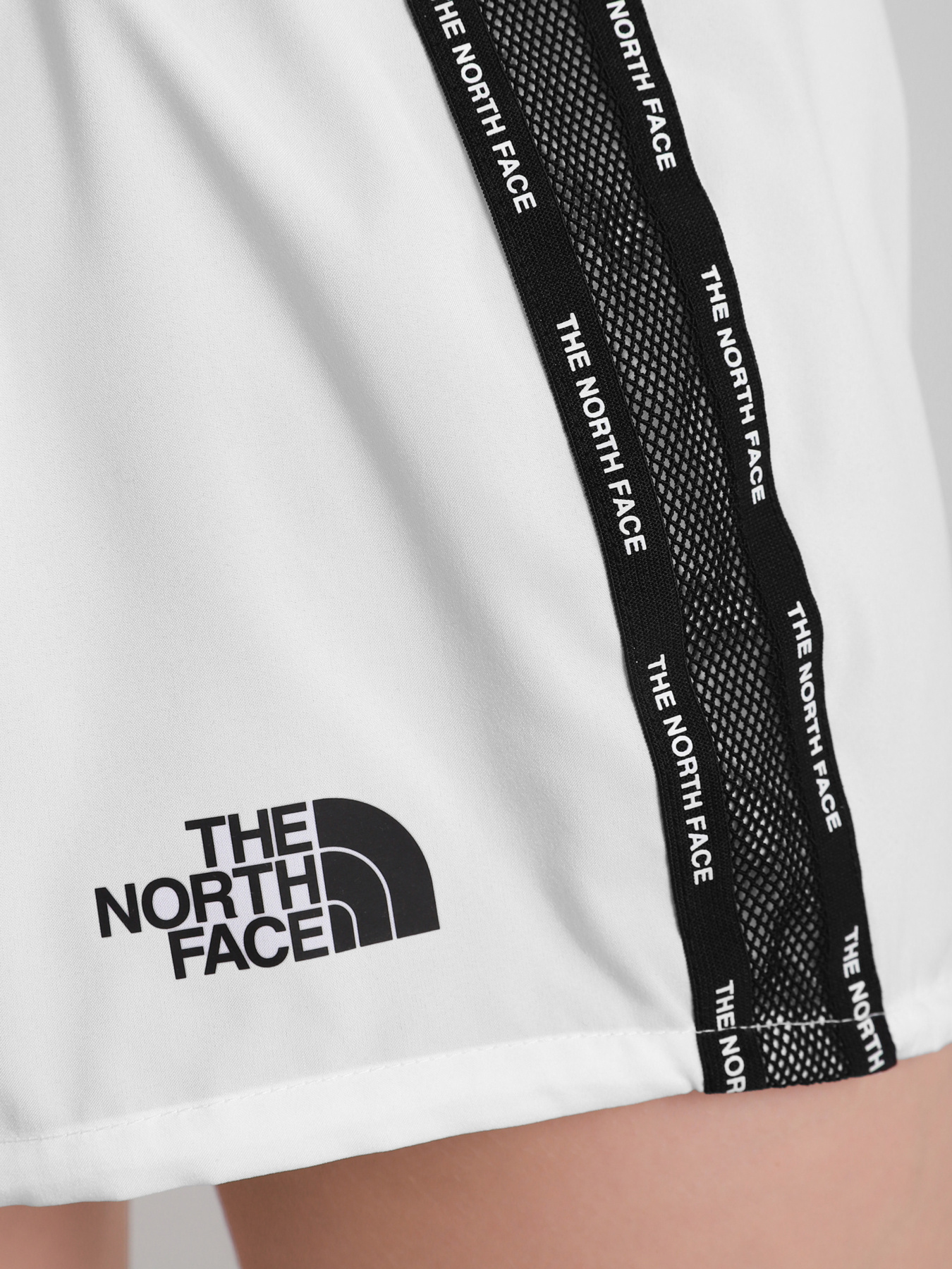 Шорты The North Face модель NF0A556BFN41 Фото