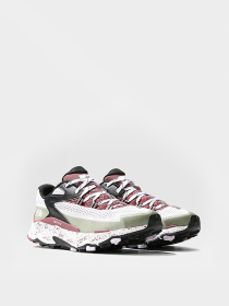 Кроссовки The North Face модель NF0A52Q291R1 Фото