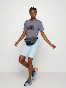 Шорты The North Face модель NF0A556E3R31 Фото