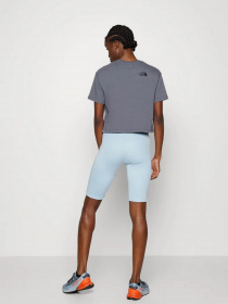 Шорты The North Face модель NF0A556E3R31 Фото
