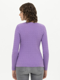 Джемпер US Polo модель USPAINT.1430184.VR034 Фото