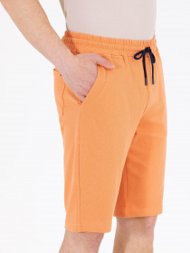 Шорты US Polo модель G081SZ0OS.000.1573002.VR031 Фото