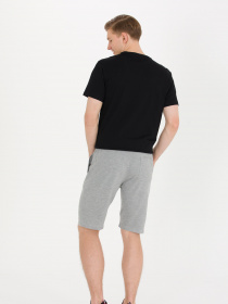 Шорты US Polo модель G081SZ0OS.000.1573002.VR086 Фото