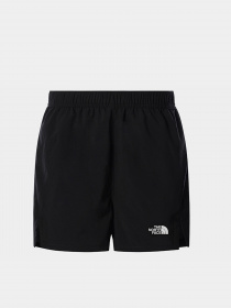 Шорты The North Face модель NF0A539NJK31 Фото