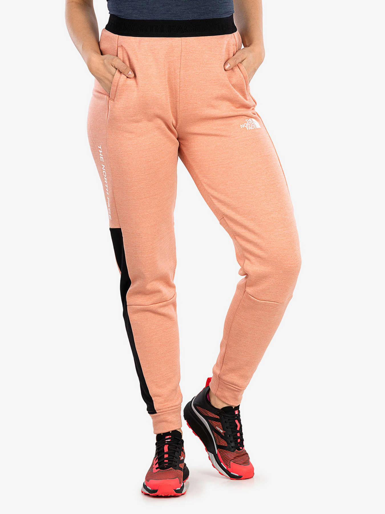 Брюки The North Face модель NF0A5IF35W21 Фото