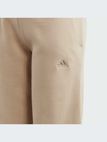 Повсякденні штани Adidas модель IB3234 Фото