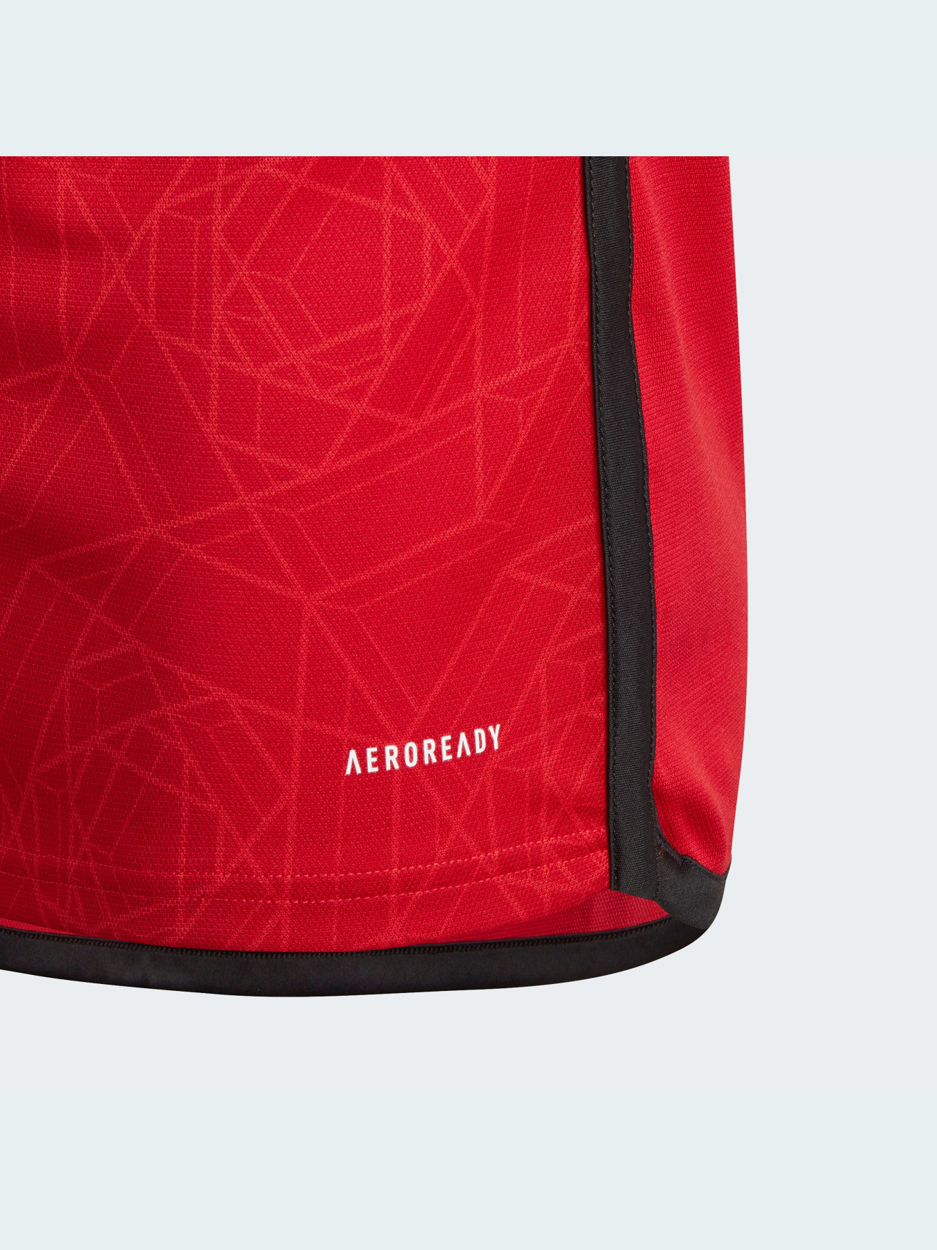 Спортивная футболка Adidas модель IP1736 Фото