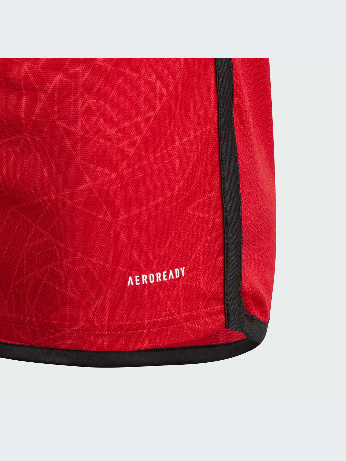 Спортивная футболка Adidas модель IP1736 Фото