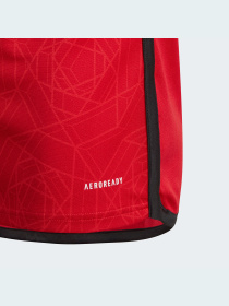 Спортивная футболка Adidas модель IP1736 Фото