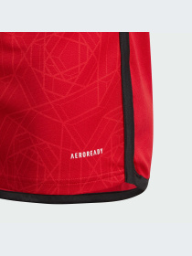 Спортивная футболка Adidas модель IP1736 Фото