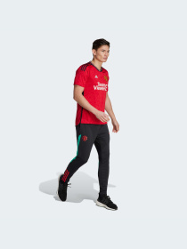 Футболка Adidas модель IP1726 Фото