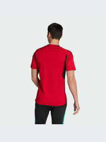 Футболка Adidas модель IP1726 Фото