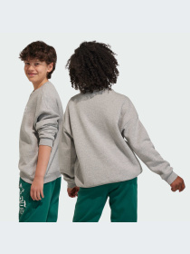 Світшот Adidas модель IL4931 Світшот Adidas модель IL4931 Фото