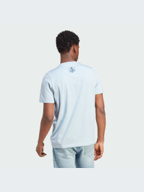 Футболка Adidas Graphics модель IL5416 Футболка Adidas Graphics модель IL5416 Фото