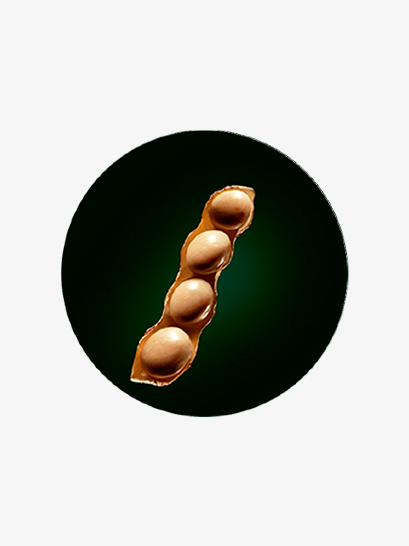 Маска для очень поврежденных волос Rene Furterer модель 215279 Фото